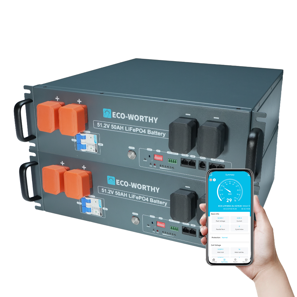 ECO-WORTHY 48V(51.2V) 50Ah Server Rack Battery,2.56kWh Lithium Battery,3U Size,With Bluetooth & Wifi
